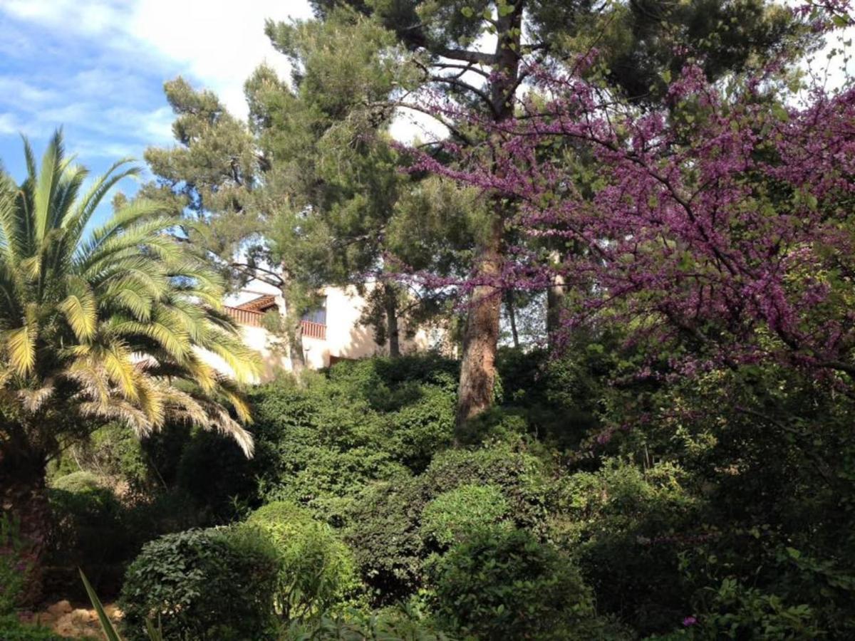 Studio 110 Grande Terrasse Proche Mer Bandol Buitenkant foto